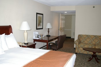 Deluxe Single Room, 1 Queen Bed, Lake View
