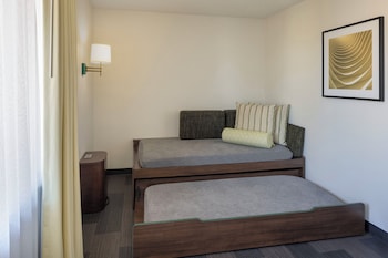 Suite, 1 King Bed (Additional Living Area)