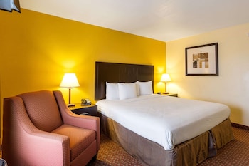 Room, 1 King Bed, Accessible, Non Smoking