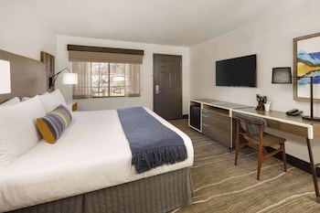 Standard Room, 1 King Bed, Accessible (View)