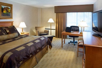 Standard Room, 1 King Bed, Non Smoking