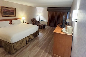 Standard Room, 1 King Bed, Non Smoking (Pet-Friendly)
