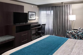 Standard Room, 1 King Bed, Non Smoking