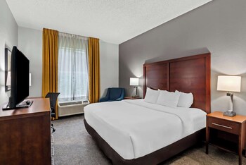 Room, 1 King Bed, Accessible, Non Smoking (Accessible Tub)