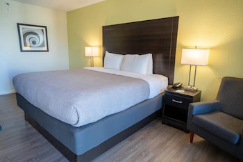 Standard Room, 1 King Bed, Non Smoking