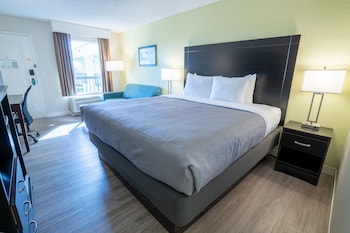 Standard Room, 1 King Bed with Sofa bed, Non Smoking
