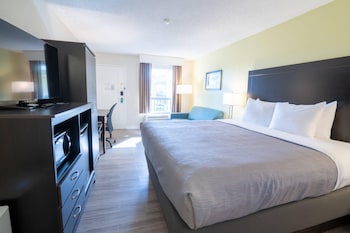 Standard Room, 1 King Bed with Sofa bed, Non Smoking