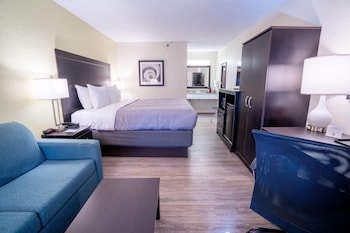 Standard Room, 1 King Bed with Sofa bed, Non Smoking