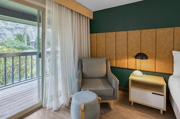 Standard Room, 1 King Bed, Accessible, Refrigerator & Microwave (Walk-in Shower)