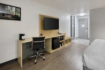 Standard Room, 1 King Bed, Accessible, Refrigerator & Microwave (Walk-in Shower)