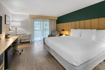 Standard Room, 1 King Bed, Balcony, Courtyard View
