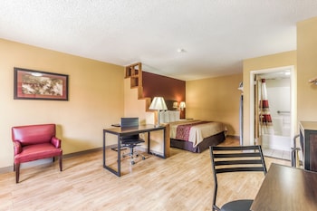 Superior Room, 1 King Bed, Non Smoking