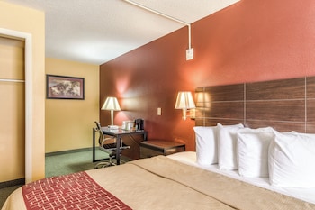 Deluxe Room, 1 King Bed, Accessible, Non Smoking (Roll-In Shower)