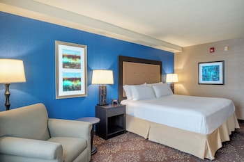 Standard Room, 1 King Bed, Accessible (Communication, Roll-In Shower)