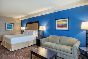 Premium Room, 1 King Bed with Sofa bed
