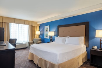 Standard Room, 1 King Bed, Accessible (Communication, Roll-In Shower)