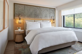 Suite, 1 King Bed with Sofa bed