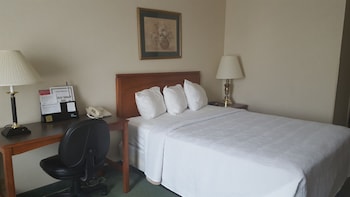 Room, 1 Queen Bed, Non Smoking, Poolside