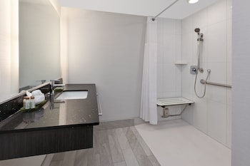 Suite, 1 King Bed