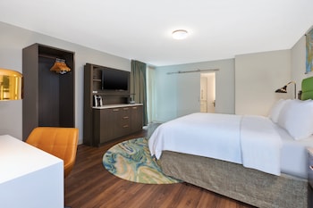 Standard Room, 1 King Bed, Accessible (Communications, Roll-In Shower)