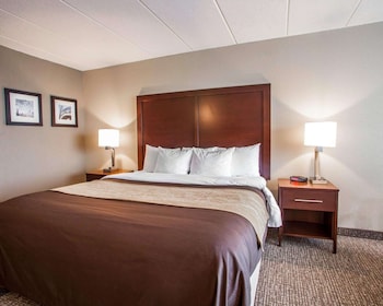 Room, 1 King Bed, Accessible, Non Smoking