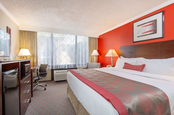 Room, 1 King Bed, Non Smoking