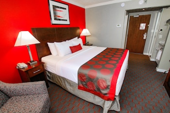 Room, 1 King Bed, Non Smoking