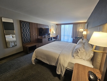 Standard Room, 1 King Bed with Sofa bed