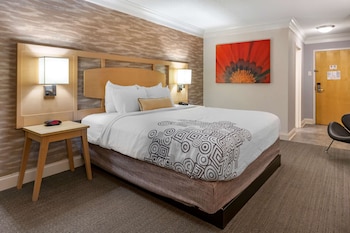 Standard Room, 1 King Bed, Non Smoking, Refrigerator