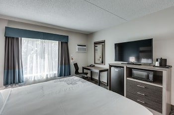 Room, 1 King Bed, Non Smoking