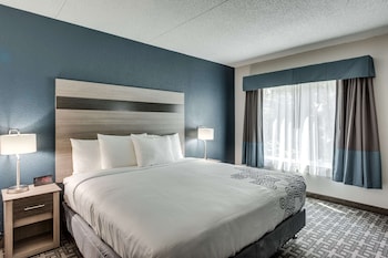 Room, 1 King Bed, Non Smoking
