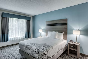 Suite, 1 King Bed, Non Smoking