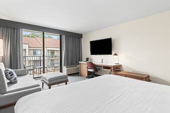 Room, 1 King Bed with Sofa bed