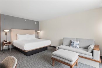 Room, 1 King Bed with Sofa bed (Hearing Accessible)