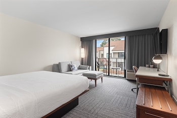 Room, 1 King Bed with Sofa bed