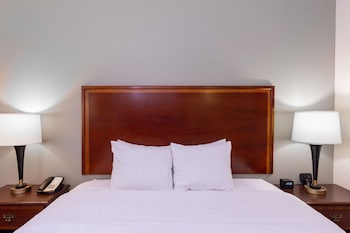 Room, 1 King Bed, Accessible, Non Smoking