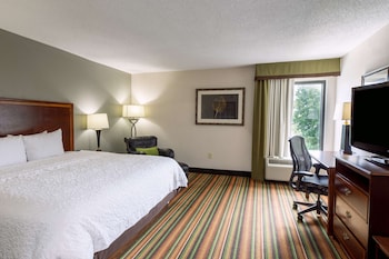 Studio Suite, 1 King Bed, Non Smoking