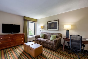 Executive Suite, 1 King Bed