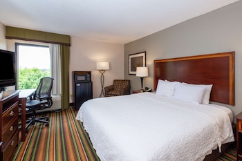 Room, 1 King Bed, Accessible