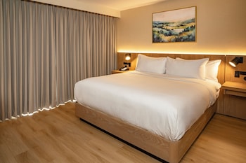 Room, 1 King Bed, Accessible (Hearing)