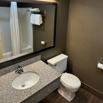 Superior Room, 1 King Bed, Non Smoking