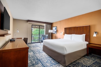Room, 1 King Bed, Pool View