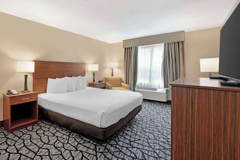 Standard Room, 1 King Bed, Non Smoking, Refrigerator & Microwave (Walk-in Shower)
