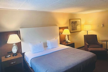 Room, 1 King Bed, Accessible, Non Smoking