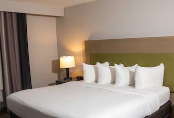 Suite, 1 Bedroom, Non Smoking