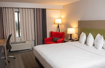 Room, 1 King Bed, Non Smoking