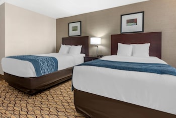 Room, 2 Double Beds, Accessible, Non Smoking