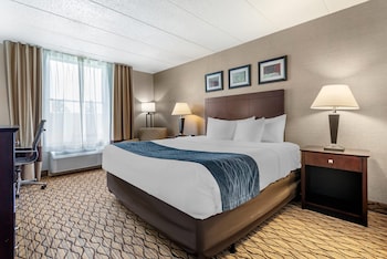 Room, 1 King Bed, Non Smoking