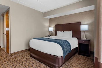 Suite, 1 Queen Bed with Sofa bed, Non Smoking