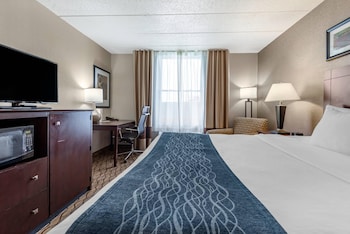 Room, 1 King Bed, Non Smoking